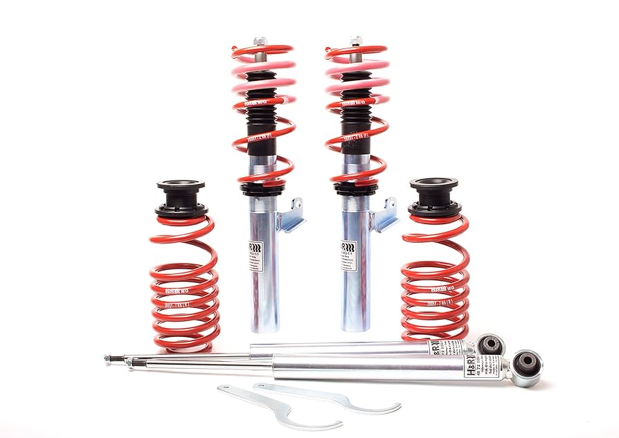 Amazon.com: H&R Special Springs 28851-10 Street Perf. Coil